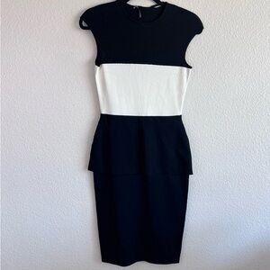 Alexander McQueen Monochrome Midi Dress